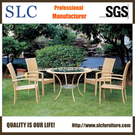 Glass Table Furniture/Modern Table and Chairs for Garden/ Rattan Table & Chairs/Rattan Furniture Dining Table (SC-B1011)