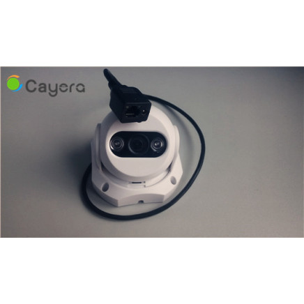 H. 264 Compression Dual-Stream Motion Detector Dome Intdoor IP Camera