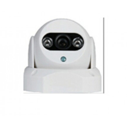 H. 264HP Compression Low Illumination Motion Alarm Dome IP Camera