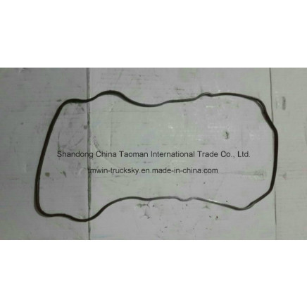 HOWO/Sinotruck Rocker Arm on The Cover Lock Ring (VG1099040018)