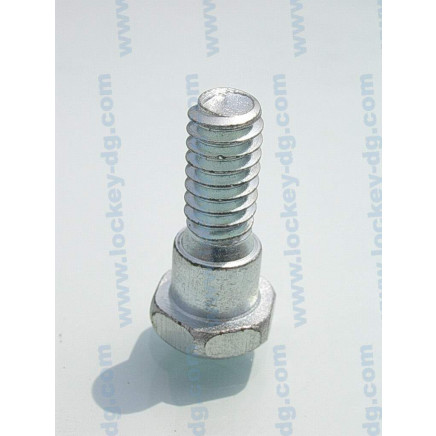 Hex Head Machine Screw with Shoulder
