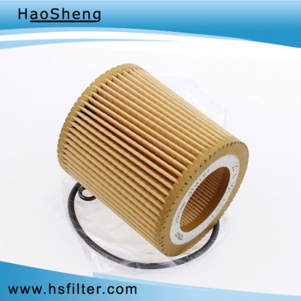 High Performance Auto Oil Filter for BMW (11427566327)
