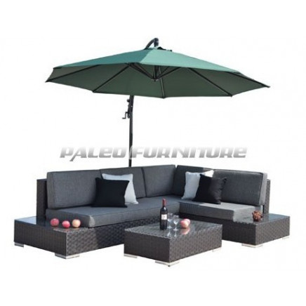 High Quality Fashion Garden Furniture/ Outdoor Furniture (PAS-1106)