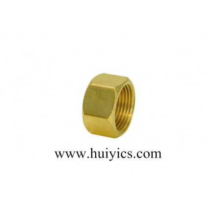 High-Quality Hex Nut with Copper (HY-J-C-126)