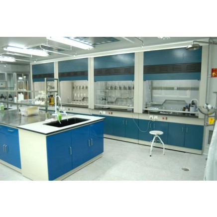 High Quality Laboratory Steel Fume Hood (PS-HF-013)