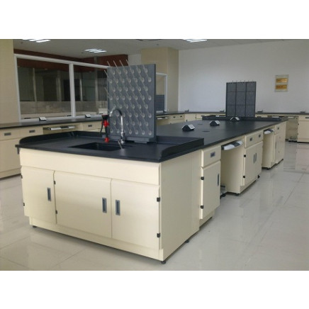 High Quality Stainless Steel Laboratory Workbench (PS-WB-003)
