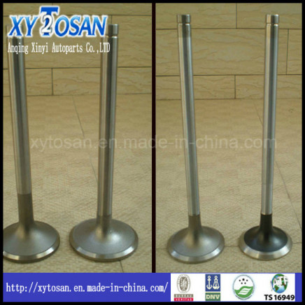 Hino F20c Engine Valve (OEM 13711-1610 & 13715-1750)