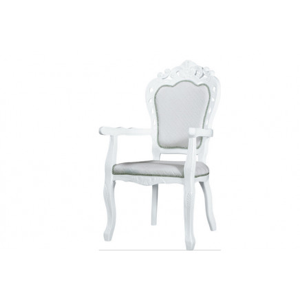 Home Use Hand Carved Dining Chairs, New Classic Dining Room Set (TM-9898)