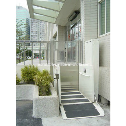 Home Vertical Wheelchair Lift (SJG II)