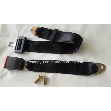 Hot Selling Safety Belt
