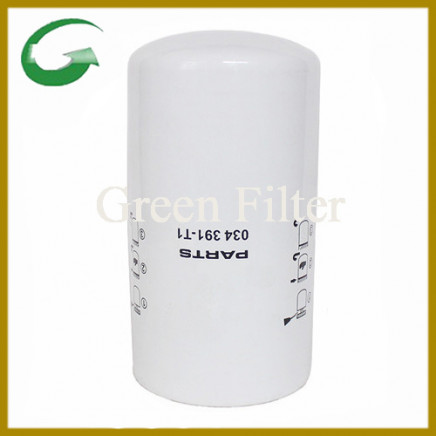 Hydraulic Oil Filter Use for Agco (034391-T1)