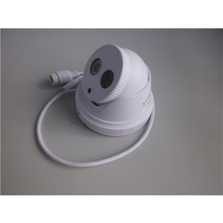 IR-Cut Outdoor 2PCS Array LED Detection Alarm IP Camera