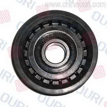 ISO/Ts Approved Car Idle Pulley for Skoda (OEM 0002020019)
