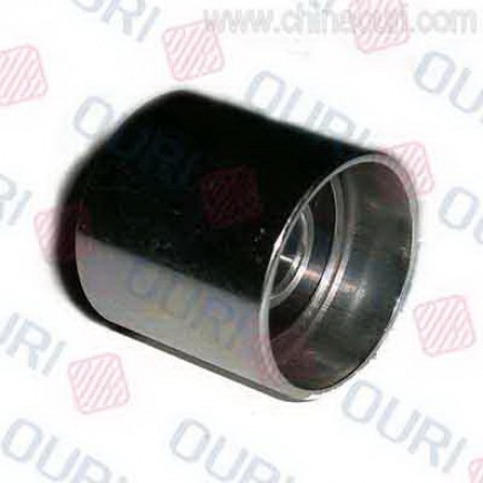 Idle Pulley for Audi, (OEM 06B109244)