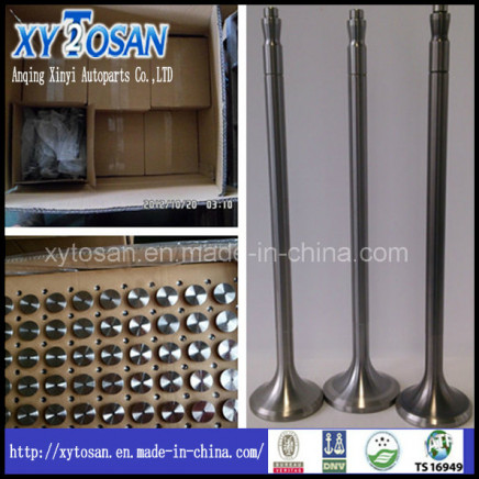 Intake & Outlet Engine Valves for Hyundai (Korea Vehicle)