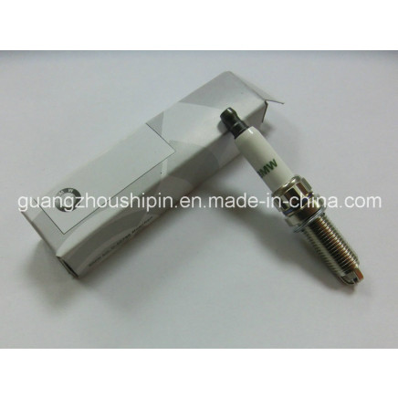 Iridium Ngk Spark Plug for BMW (12120037244)