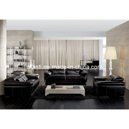 Italian Popular Genuine Leather Sofa (JY-1023)