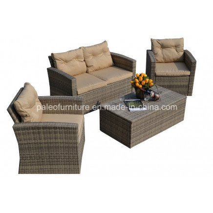 Leisure Furniture Outdoor Wicker Patio Garden Rattan Sofa Set (PAS-1225B)
