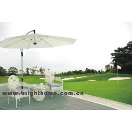 Leisure Outdoor Garden Furniture (BP-319B)
