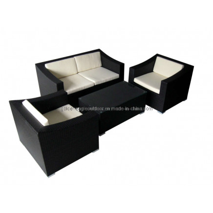 Leisure Rattan Garden Sofa Furniture (S0084)