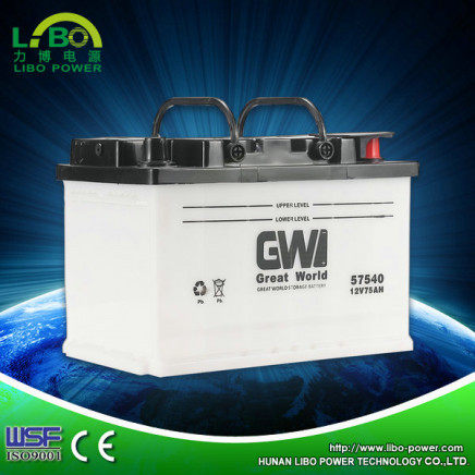 Libo Competitive Price DIN75 12V75ah Automotive Battery