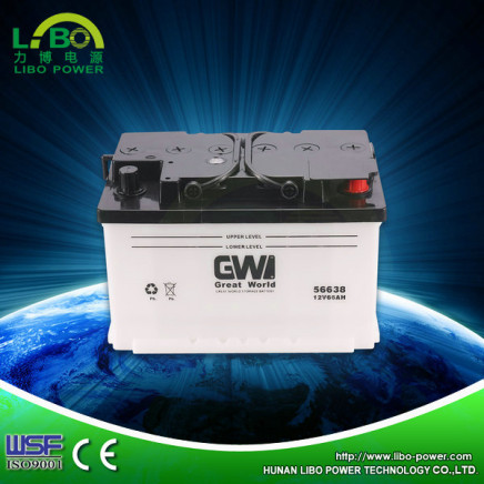 Libo Manufacture Dry Charged Lead Acid Battery for 17 Years