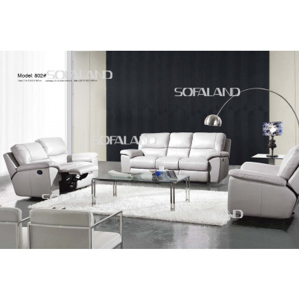 Living Room Furniture/ Sofa (802)