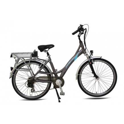 Long Range Good Quality Electric Bicycle (TDF30Z)