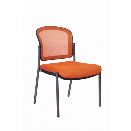 Low Back Executive Traning Meeting Office Mesh Chair (FS-3120)