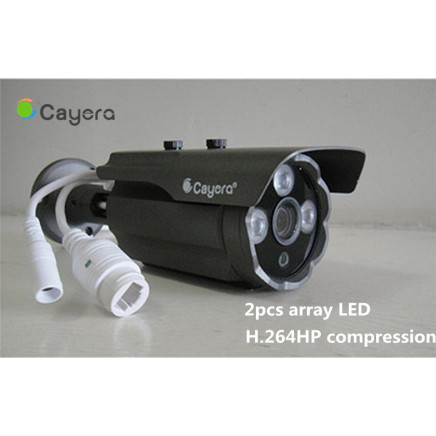 Low Lux Array LED CMOS Sensor Email Alarm Network Monitoring IP Camera