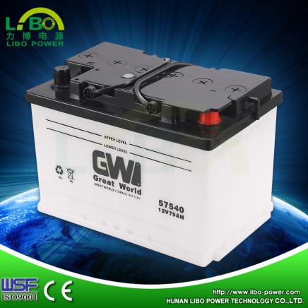 Low Self-Discharged 12V75ah Motor Battery for Sale