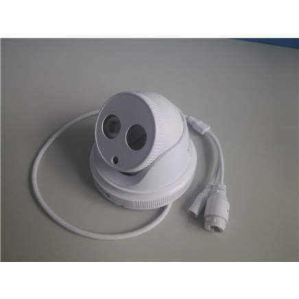 Low Voltage IR-Cut Real-Time Capture Shopping Center Megapixel IP Camera