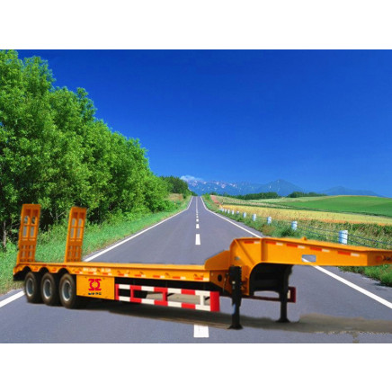 Lowbed Semi Trailers (CTY8460)