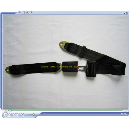 Manual Seat Belts