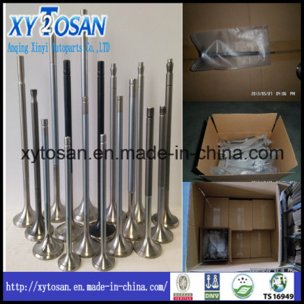 Marine Engine Valve & Valve Seat for All Models (MAN)