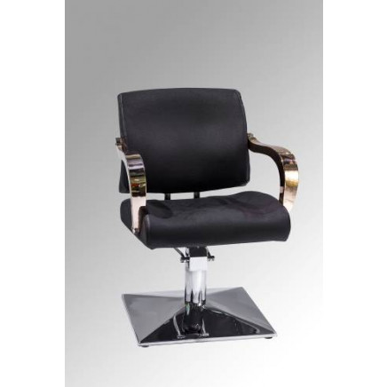 Modern Design and Cheap Styling Chair (MY-007-77)
