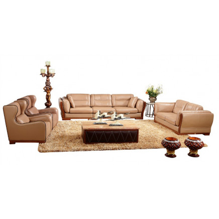 Modern Furniture Royal Luxury Leather Sofa (AFT-BT011)