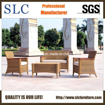 Modern Rattan Sofa/Garden Sofa Set Design/American Style Sofa Set (SC-B1002)