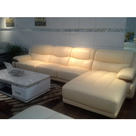 Modern Sectional Leather Sofa (CG-928)