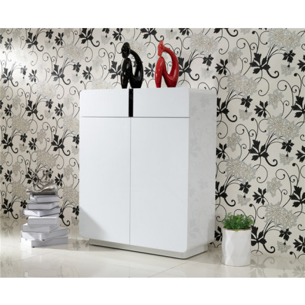 Modern Shoe Case Shoe Cabinet