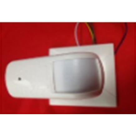 Motion Detector