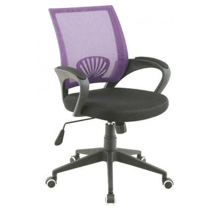 New Desigin Low Back Mesh Chair Fs-806