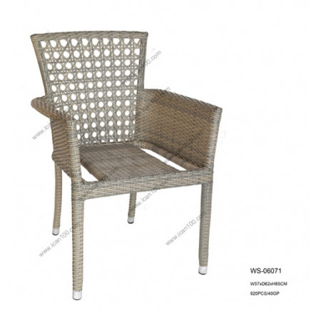 New Leisure Garden Chair (WS-06071)