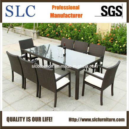New Wicker Furniture/Synthetic Wicker Furniture/Wicker Furniture Outdoor (SC-B6023-B)