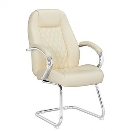 Nice Visitor Chair with PU Armrest Cover (FS-2033V)