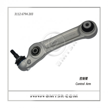 Oe Quality Auto Control Arm for BMW F10/F11