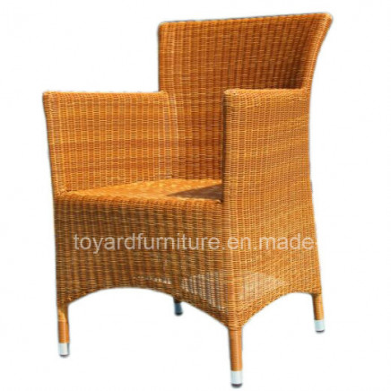 Outdoor Chair PE Vine Leisure Hotel Furniture (S289)