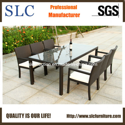 Outdoor Dining Set/Glass Top Dining Set /Wicker Dining Set (SC-B6023)