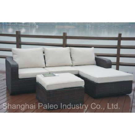 Outdoor Furniture Garden Chair Patio PE Rattan Sofa (PAS-1509)