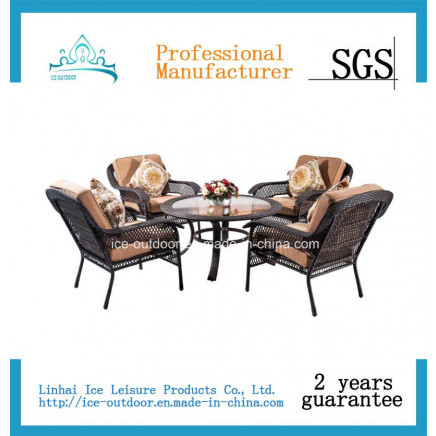 Outdoor Furniture Garden Furniture Foldable Rattan Dining Table Chair (FD-037I)